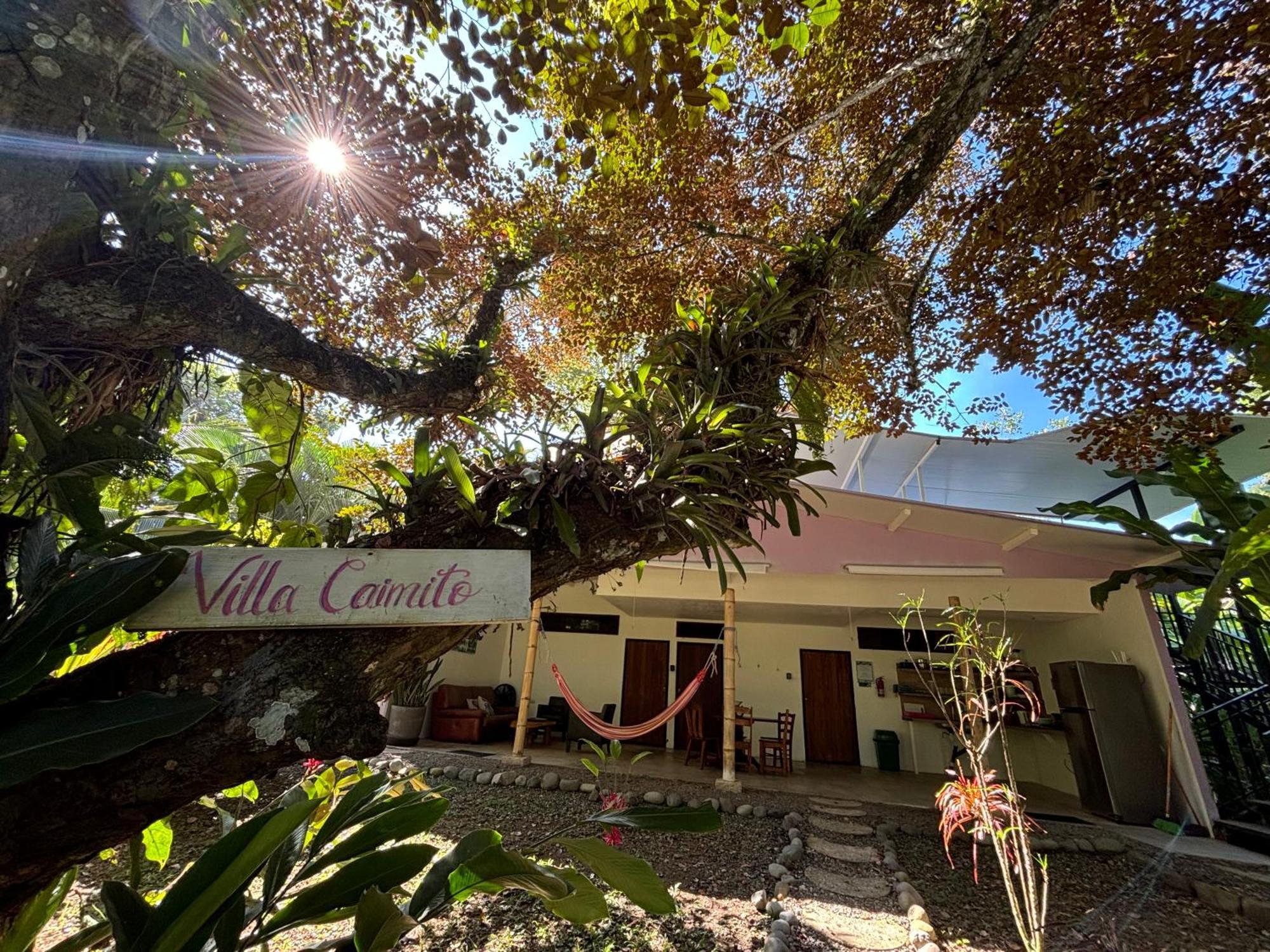 Puerto Viejo Club, Villas & Pool Puerto Viejo de Talamanca Kültér fotó